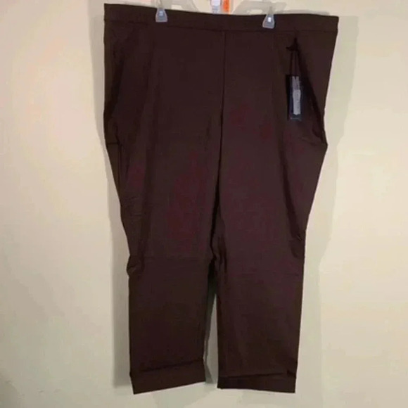 NWT Lane Bryant the Sophie Straight Fit Slim Leg Sz 26 Short - Picture 1 of 5